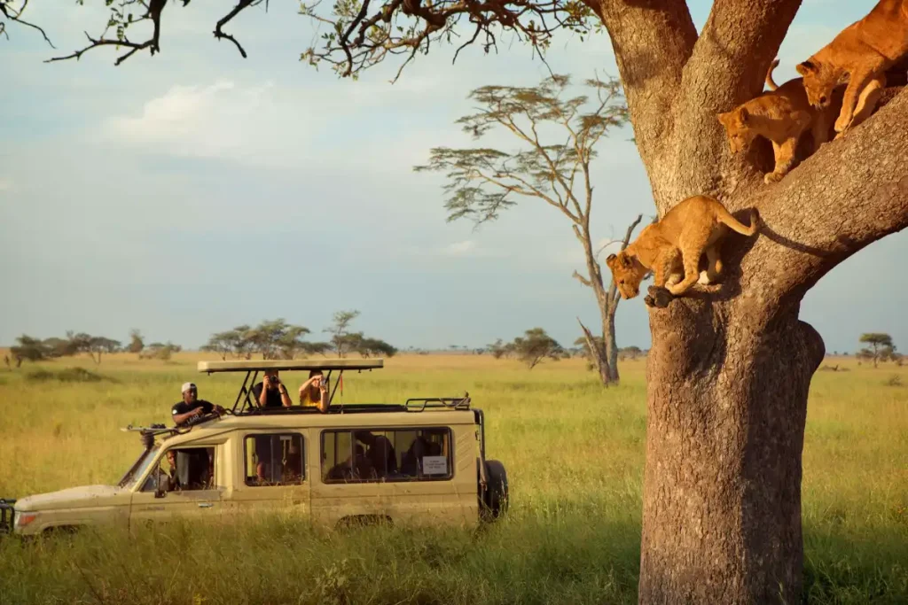 Why a Great Driver Guide Can Make or Break Your Tanzania Safari